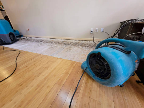 Professional Structural Drying technician working in Northwood, IA